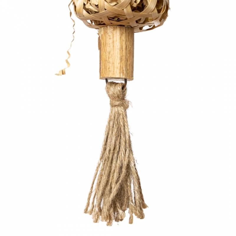 Back Zoo Nature - Schredding Rocket