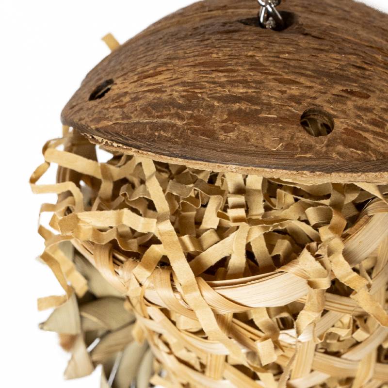 Back Zoo Nature - Schredding Rocket