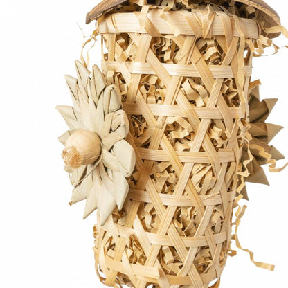 Back Zoo Nature - Schredding Rocket