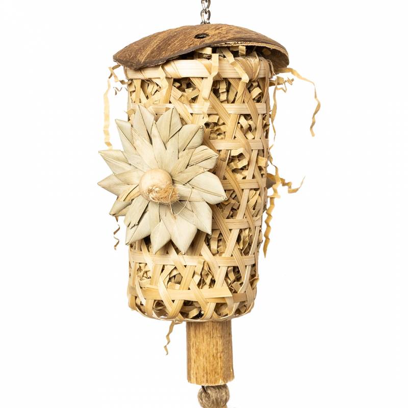 Back Zoo Nature - Schredding Rocket