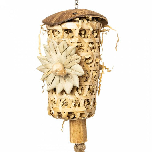 Back Zoo Nature - Schredding Rocket