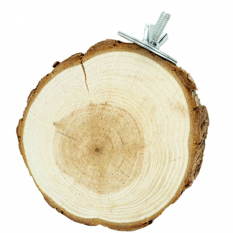 Back Zoo Nature - Trunk Slice Perch