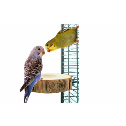 Back Zoo Nature - Trunk Slice Perch