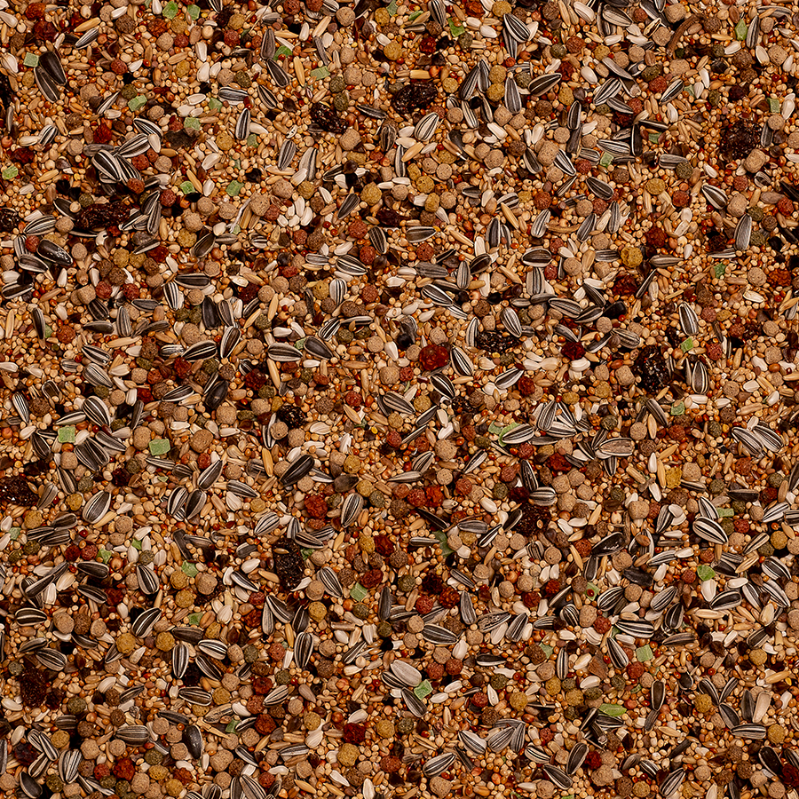 Deli Nature Birdelicious Grote Parkieten Amazonia