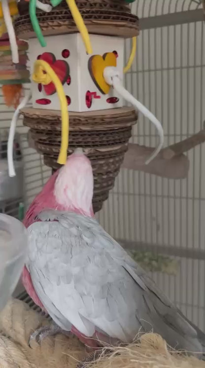 ZOO-MAX forageer speelgoed 